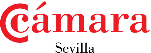 Camara de Sevilla Formación